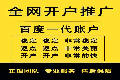 专业竞价SEM托管成功案例解析